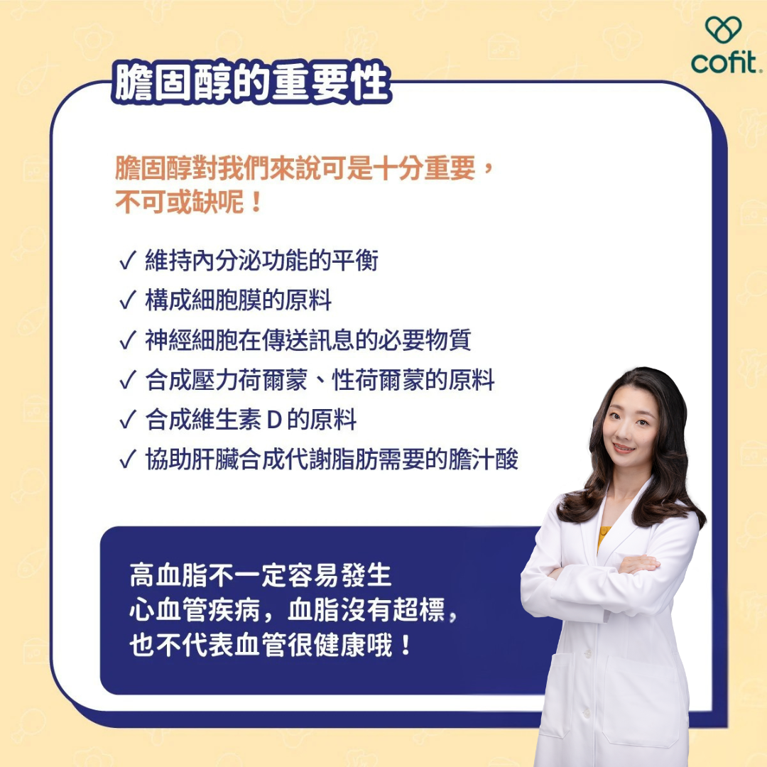 膽固醇的功能示意圖：維持內分泌、構成細胞膜、協助神經傳導、生成荷爾蒙與維生素D，以及形成膽汁酸的重要角色；提醒高血脂不等於一定有心血管疾病，正常數值也不代表血管完全健康。