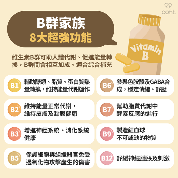 B群功效與缺乏症狀一次看! B群差異大不同、營養師教你選