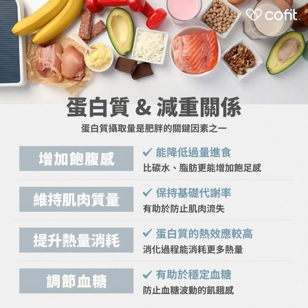 為什麼減重一定要把蛋白質吃夠？ 很多人在減重時直覺就是「少吃、少油、少澱粉」，卻忘了蛋白質的重要性。事實上，蛋白質攝取不足，不但不利於減重，還可能讓體脂上升、代謝變慢、變得更容易復胖。 原因包含以下幾點： 增加飽足感，避免吃到失控： 相較於精緻澱粉和高脂食物，蛋白質能更有效刺激飽足中樞，讓大腦接收到「我吃飽了」的訊號。 保住肌肉，維持基礎代謝率： 減重時若蛋白質不足，身體會分解肌肉來當能量來源，導致肌肉量下降、基礎代謝率跟著下降，之後變得更容易復胖。 提高食物熱效應，消化本身就會消耗熱量： 蛋白質在消化代謝過程中，需要較多能量協助分解與轉換，食物熱效應相對較高，等於在吃飯的同時就多消耗一些熱量。 穩定血糖，減少暴食衝動： 適量蛋白質搭配好的碳水與油脂，有助延緩胃排空與血糖上升速度，降低血糖忽高忽低帶來的強烈飢餓感與嘴饞。 簡單來說：蛋白質吃夠，是讓你「越減越好瘦」而不是「越減越虛」的關鍵。