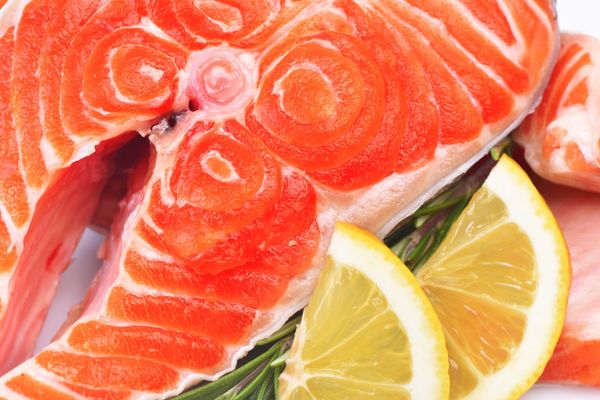 Fish salmon