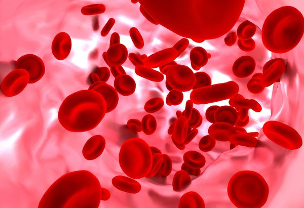 Red blood cell in blood vessel