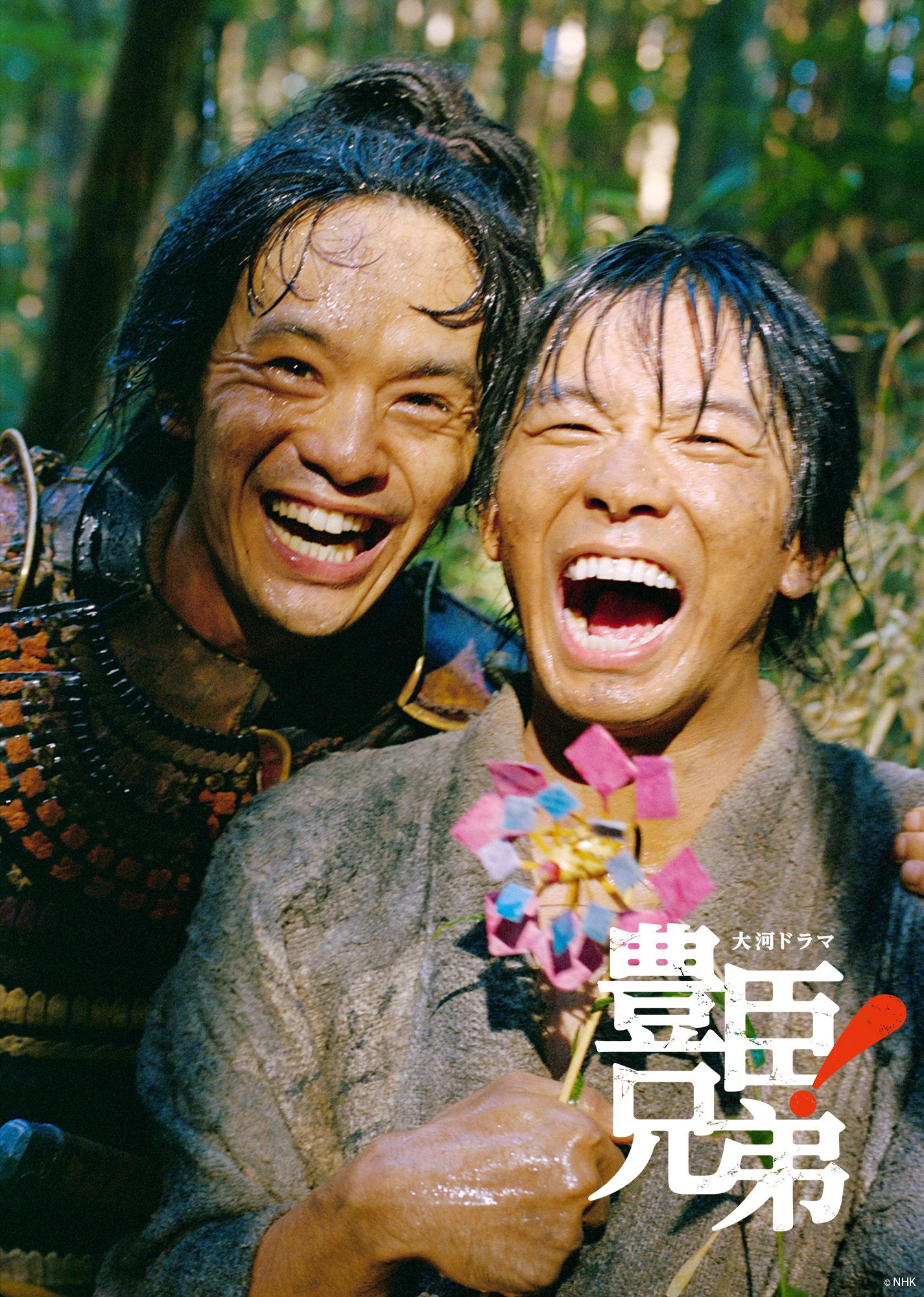 豐臣兄弟