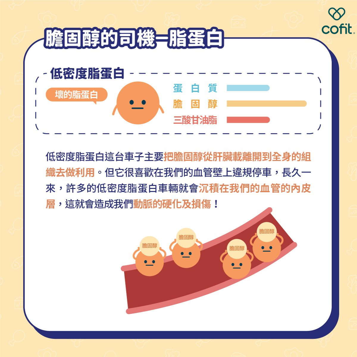 低密度膽固醇是壞的脂蛋白