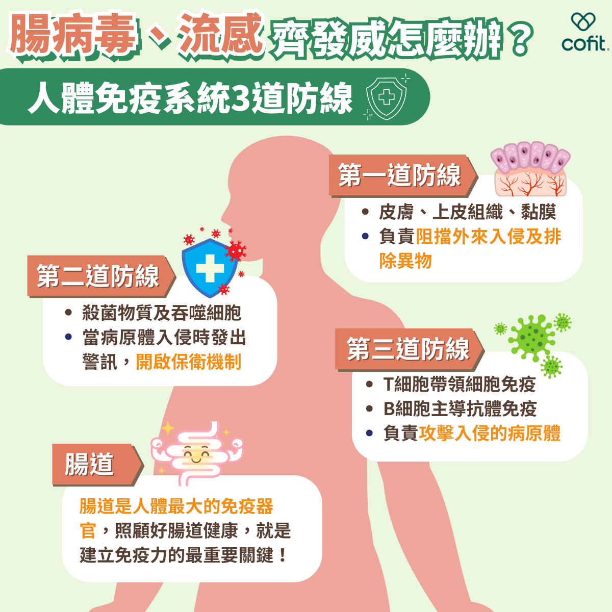 腸病毒、流感、新冠病毒齊發威！ 營養師推薦增強免疫力的5類保健品