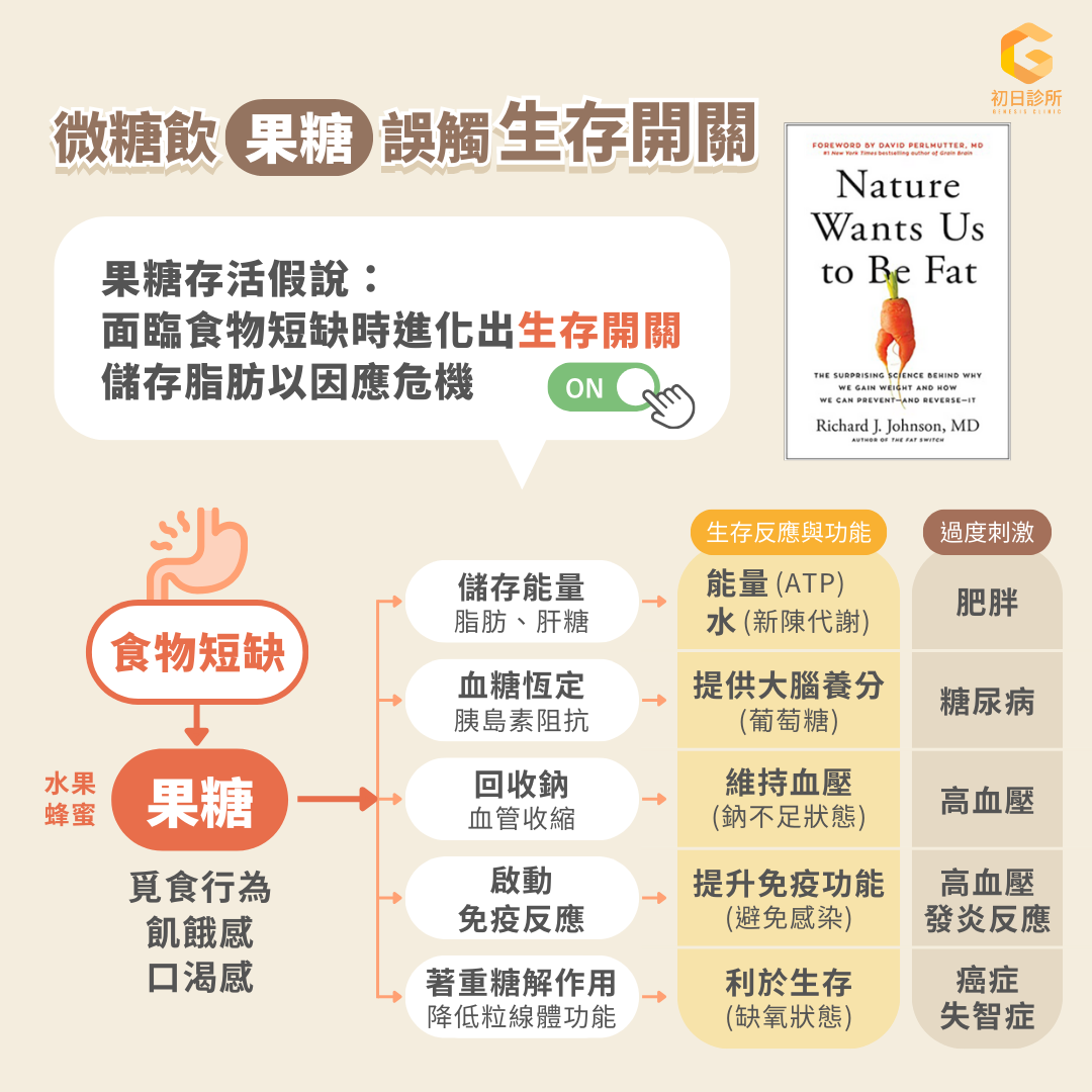避開果糖陷阱、有效擊退脂肪肝