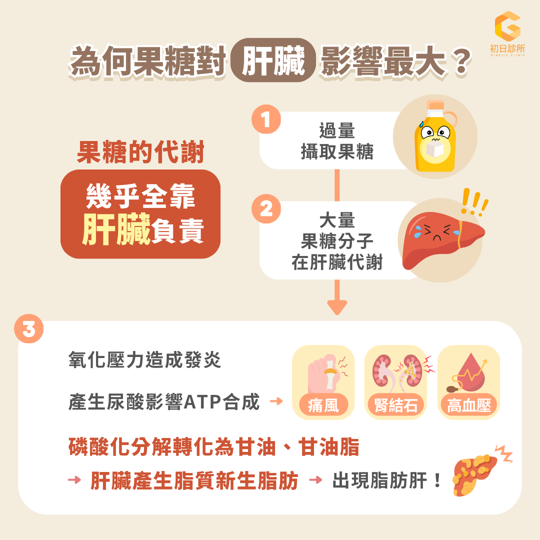 避開果糖陷阱、有效擊退脂肪肝