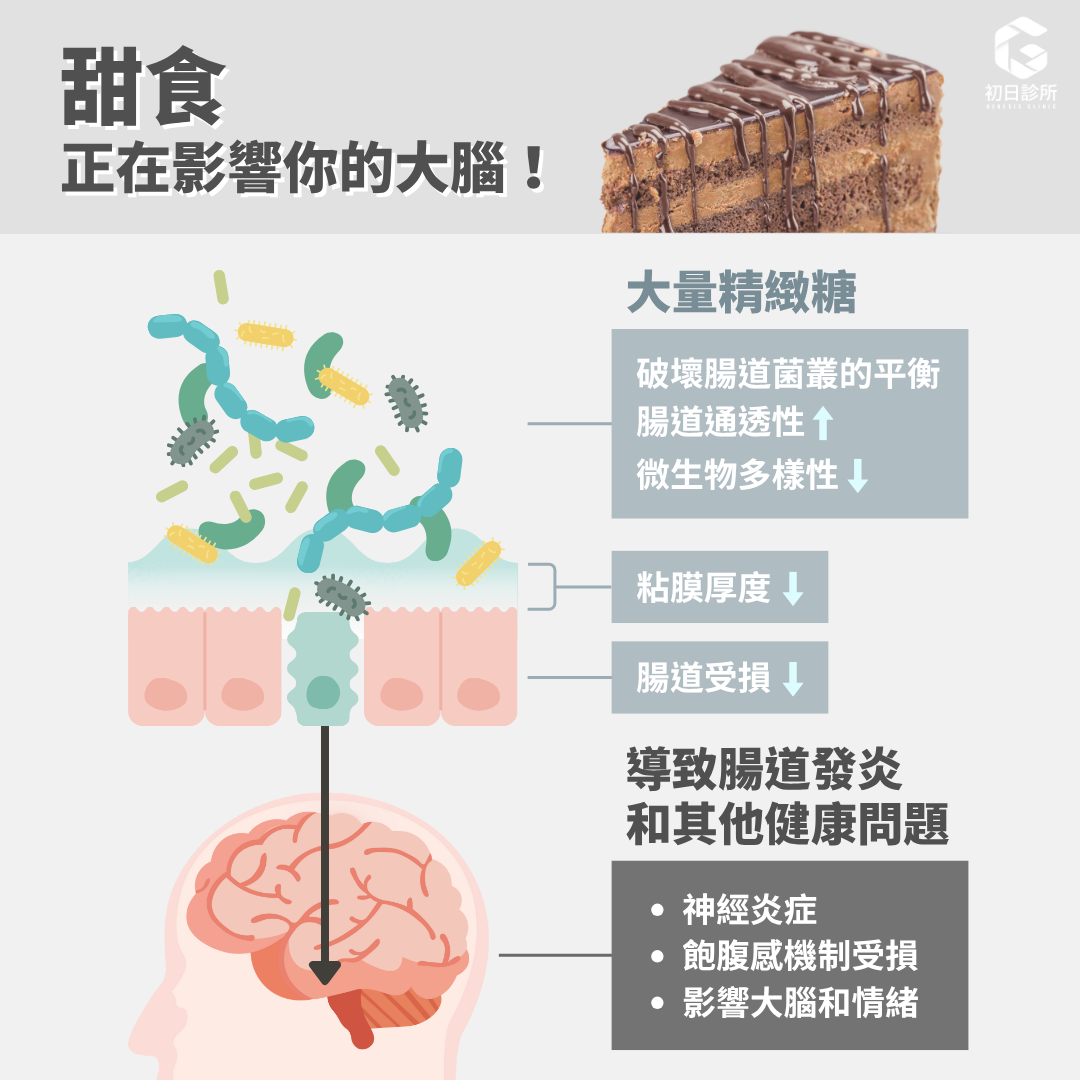 「甜食」正在影響你的大腦！  我們的腸胃道有一套「腸道神經系統」(Enteric Nervous System)，除了幾百兆腸道菌、還有僅次於大腦的神經元數量。而神經元與腸道菌產生的神經傳達物質使得腸道與大腦有密切的雙向溝通，即所謂的「腸腦軸」，因此腸道狀態與大腦和身體健康息息相關。  雖然甜食可以帶來瞬間的快樂，但長期攝取高糖食物會對大腦產生負面影響、增加糖的渴望，不只破壞腸道菌叢的平衡、影響大腦和情緒，過量的糖分會降低腸道粘膜厚度、增加腸道通透性，導致腸道發炎和其他健康問題，例如神經炎症、飽腹感機制受損等。