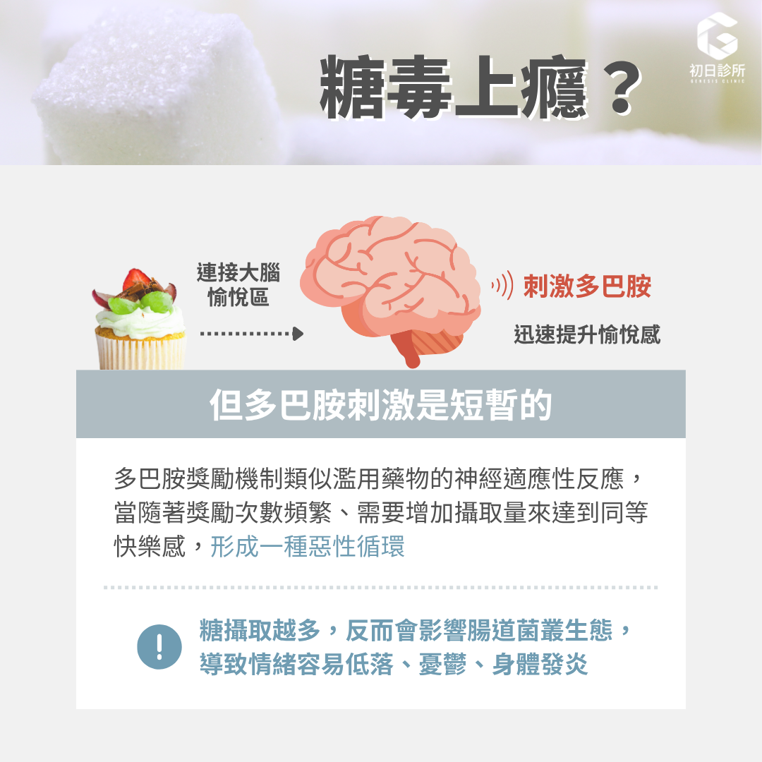 吃糖像吸毒？  而吃甜食的時候，人類的甜味味蕾直接連接到大腦的愉悅區，激活大腦的獎勵機制，增加多巴胺釋放，迅速提升愉悅感，這使得我們渴望更多甜食，形成一種惡性循環。但這種快樂只是短暫的！  糖毒上癮是因為「多巴胺」  多巴胺是一種神經遞質，影響愉悅和動機。甜食通過刺激多巴胺的分泌讓人感到快樂，但這種快樂會隨著時間、需要更多糖分來維持同等快樂，久而久之會攝取過量糖份。  過度攝取高糖食物可能會觸發大腦獎賞迴路中類似濫用藥物的神經適應性反應。換句話説，吃高糖食物就像在吸毒，因為獎勵路徑及閾值相同、必須不斷增加攝食量來達到相同的快樂。