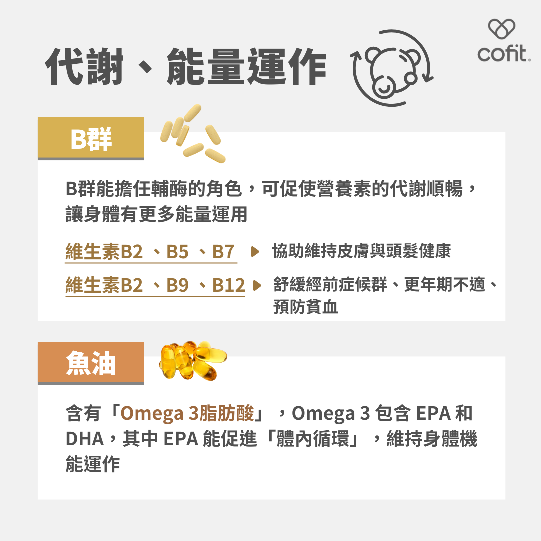 B群 擔任輔酶角色，促使營養素代謝，讓身體有更多能量運用；含有「Omega 3脂肪酸」，Omega 3包含EPA和DHA，其中EPA能促進「體內循環」，維持各項身體機能運作。