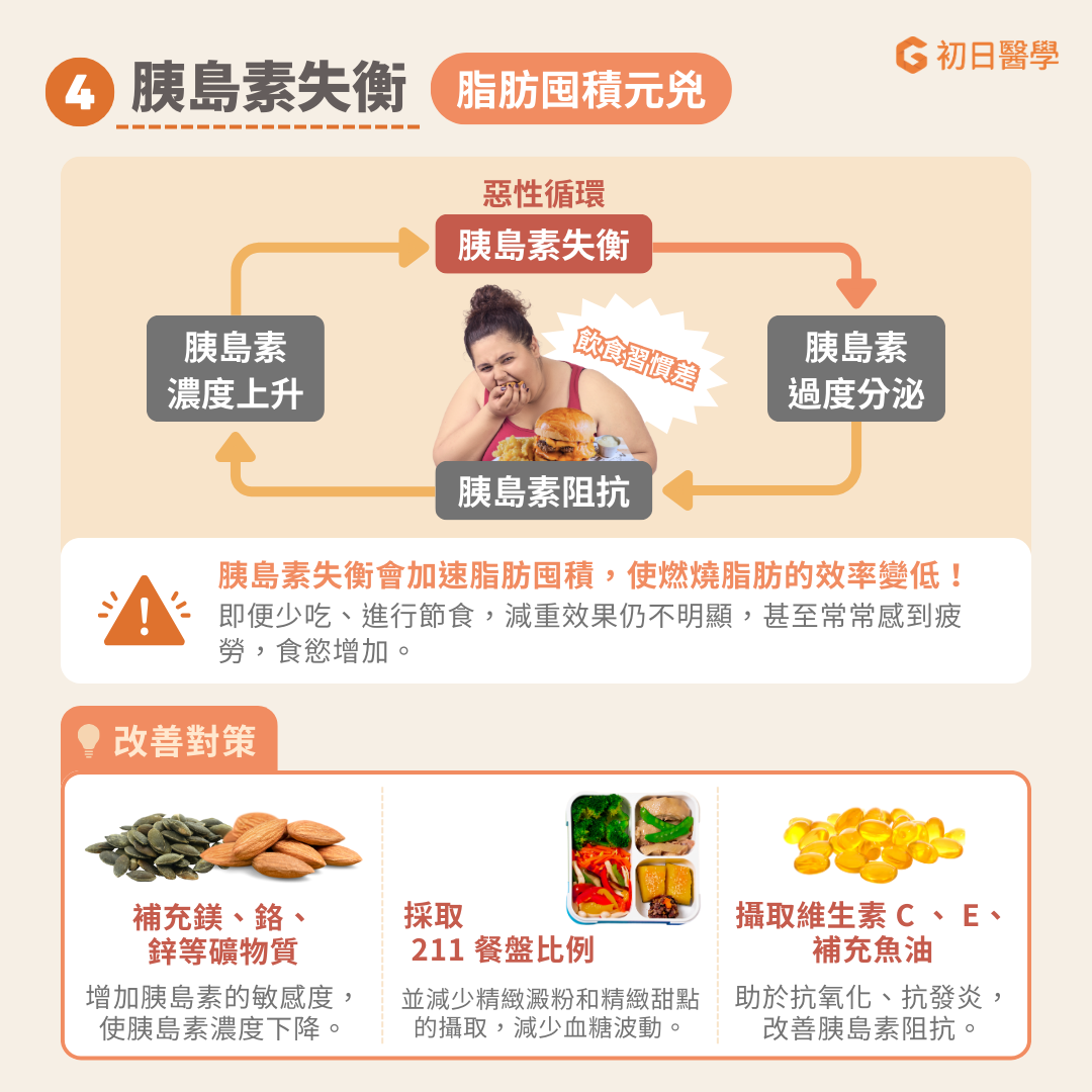 胰島素失衡是導致肥胖的常見原因之一，主要由長期攝取高糖、高油脂的食物以及頻繁進食引起。當胰島素長期過度分泌，身體會逐漸產生胰島素阻抗，進而導致胰島素濃度越來越高，形成惡性循環。 在這種情況下，身體更傾向於囤積脂肪，同時脂肪燃燒的效率降低，即使少吃或進行節食，減重效果也不明顯。胰島素阻抗還可能導致經常感到疲勞、食慾增加 [ref]。 胰島素阻抗造成的脂肪堆積還會刺激瘦素分泌的增加。然而，當瘦素阻抗發生時，大腦無法正確接收飽足的訊號，導致食慾不斷上升，只有在脂肪大量堆積後才感覺滿足。一旦胰島素阻抗與瘦素阻抗同時出現，飽足訊號被抑制，飢餓訊號則持續活化，促使身體傾向於囤積更多脂肪，進一步加劇肥胖問題 [ref]。 爲了改善胰島素阻抗並有效預防體脂堆積，可以適量補充鎂、鉻與鋅等礦物質，來提升胰島素敏感度並降低其濃度[ref]。 飲食結構的調整也同樣重要，建議採用 211原則，讓蔬菜占餐盤的50%，蛋白質與澱粉各占 25%，並減少精製澱粉和甜點的攝取，以穩定血糖波動。 最後一個關鍵是增加抗氧化與抗發炎的飲食，透過攝取富含維生素C和E的蔬菜與適量水果，以及補充魚油，可以進一步改善胰島素阻抗，幫助身體恢復健康的代謝狀態 [ref]。