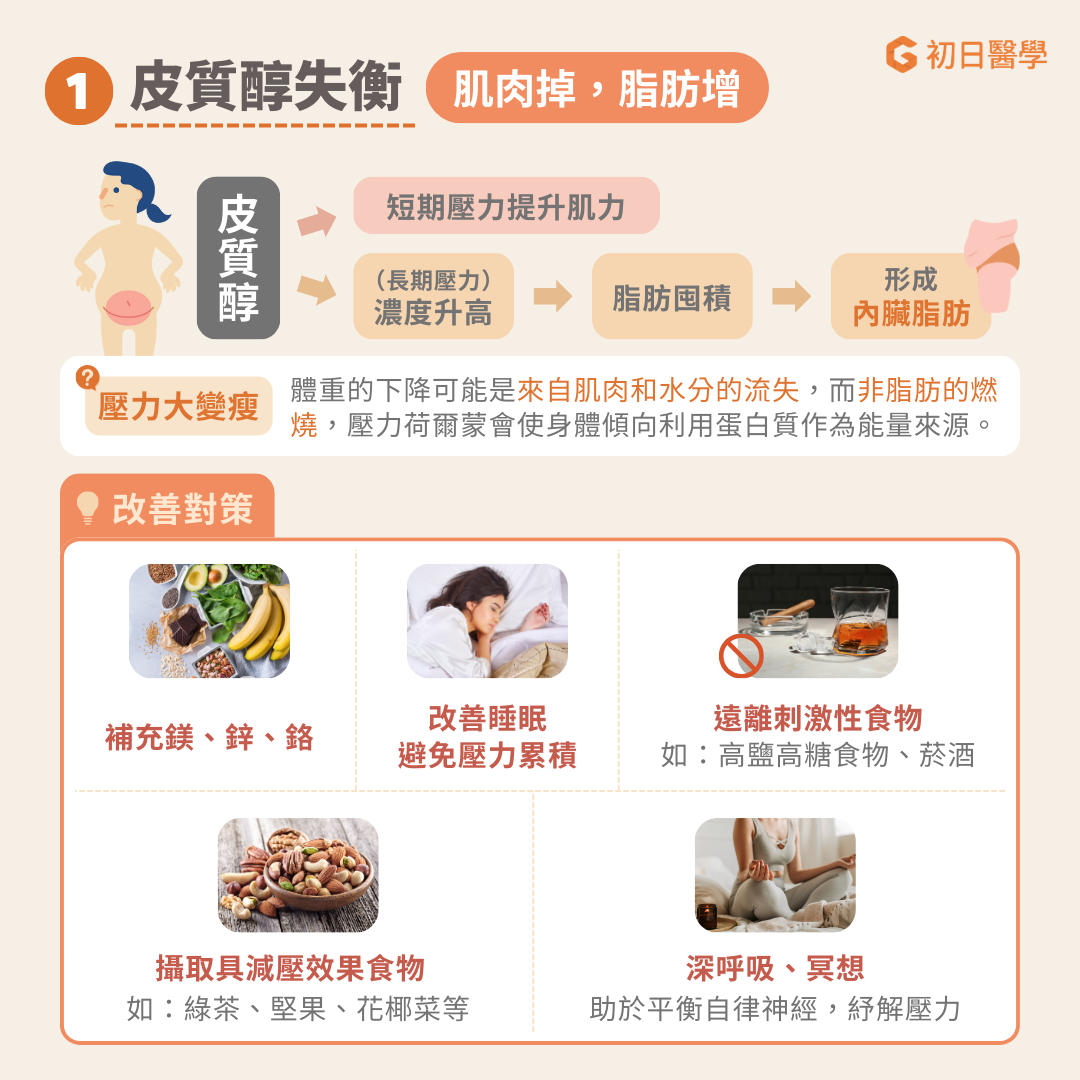 皮質醇是由腎上腺分泌的荷爾蒙，可以同時導致「肌肉流失」和「脂肪堆積」 皮質醇的主要功能是應對壓力。短期壓力能提升肌力和心理調適，但長期壓力則會導致皮質醇分泌異常并且加劇胰島素阻抗，使脂肪更容易囤積在上背、肩膀和下腹，促進內臟脂肪的形成 [ref] [ref]。同時，肌肉的流失會增加跌倒的風險，若同時存在骨質疏鬆症，少了肌肉的保護，則可能更容易發生骨折 [ref]。 壓力大的情況下，體重的下降可能是來自肌肉和水分的流失，而非脂肪的燃燒，因為壓力荷爾蒙使身體傾向利用蛋白質作為能量來源。 改善皮質醇影響的關鍵在於調整生活方式和飲食習慣。 飲食上多攝取具有減壓效果的食物如綠茶、堅果、花椰菜和深海魚。同時富含鎂、鋅和鉻等微量元素的食物在穩定壓力荷爾蒙上也有一定的幫助。避免刺激性食物，如高油脂、高鹽、高糖的加工食品，以及過量咖啡因、菸和酒。在生活作息上，確保充足的休息以及高品質的睡眠能有效減少壓力累積。此外，養成進行放鬆練習的習慣如深呼吸、冥想和瑜珈等可以幫助平衡自律神經，緩解壓力，進一步降低皮質醇對身體的負面影響。