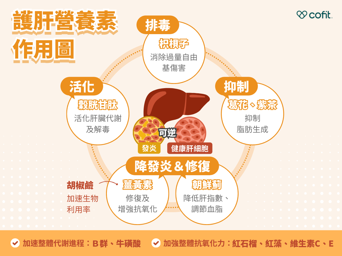 一直很疲勞、腸胃不舒服，是身體在發炎嗎？ 慢性發炎不像急性發炎那樣明顯，不會立刻發燒、紅腫，還可能以為只是壓力太大或睡太少，但其實這些反覆出現的不適，都是身體發出的警訊。以下列出慢性發炎常見的 7 大徵兆，你中了幾個？ 經常覺得疲勞、睡再多也無法恢復精神 消化不良、腹瀉、胃酸逆流或便秘 皮膚出現反覆性紅疹、濕疹或癢感 肌肉痠痛、關節僵硬，活動度下降 情緒波動大，容易焦慮、煩躁、低落 經常性感染，如反覆感冒、膀胱炎 注意力難集中、出現「腦霧感」 這些症狀不會一次全出現，但只要身體長期處於壓力大、飲食失衡、睡眠不足等環境，慢性發炎就可能悄悄上身，並開始干擾你的身心狀態。