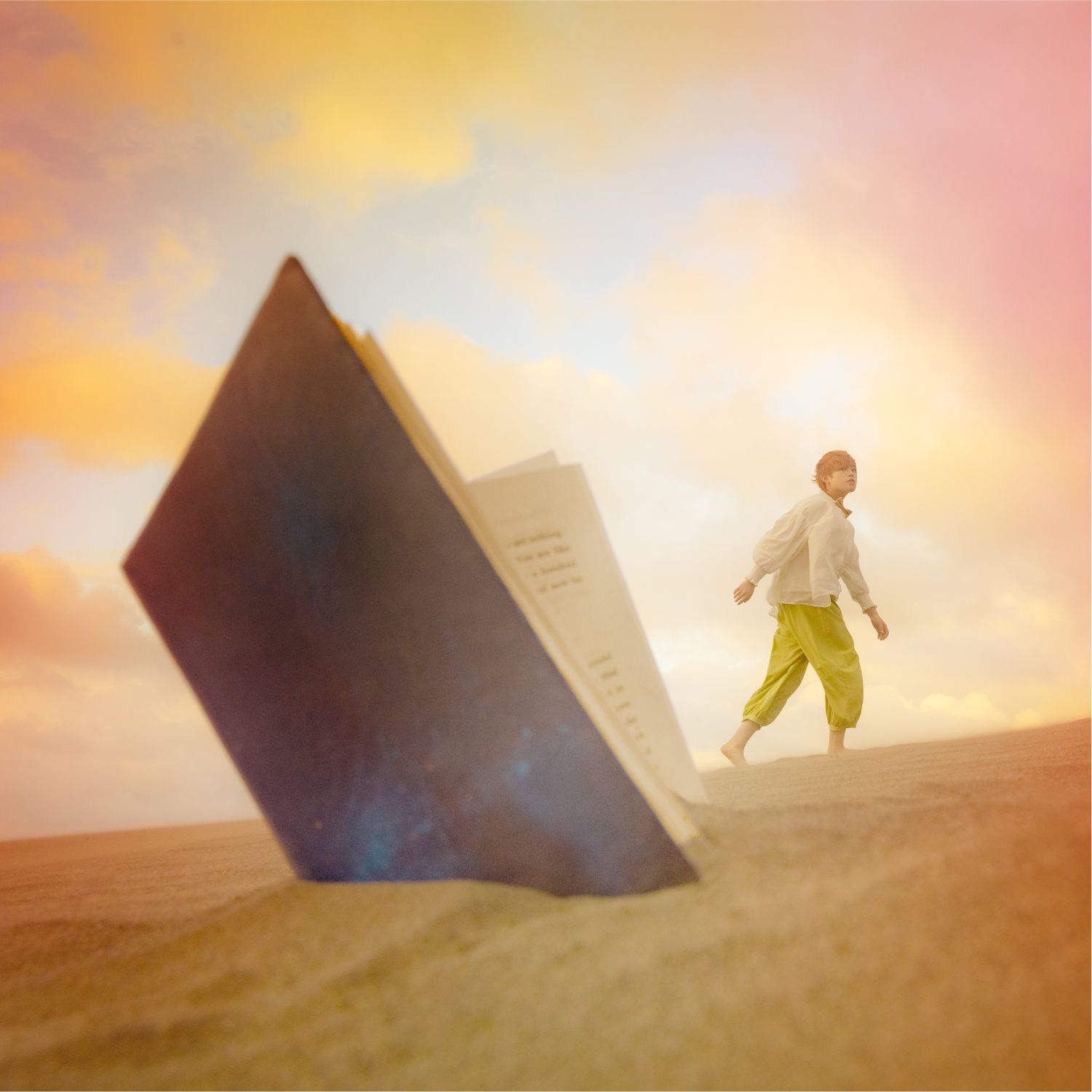 小王子 The Little Prince