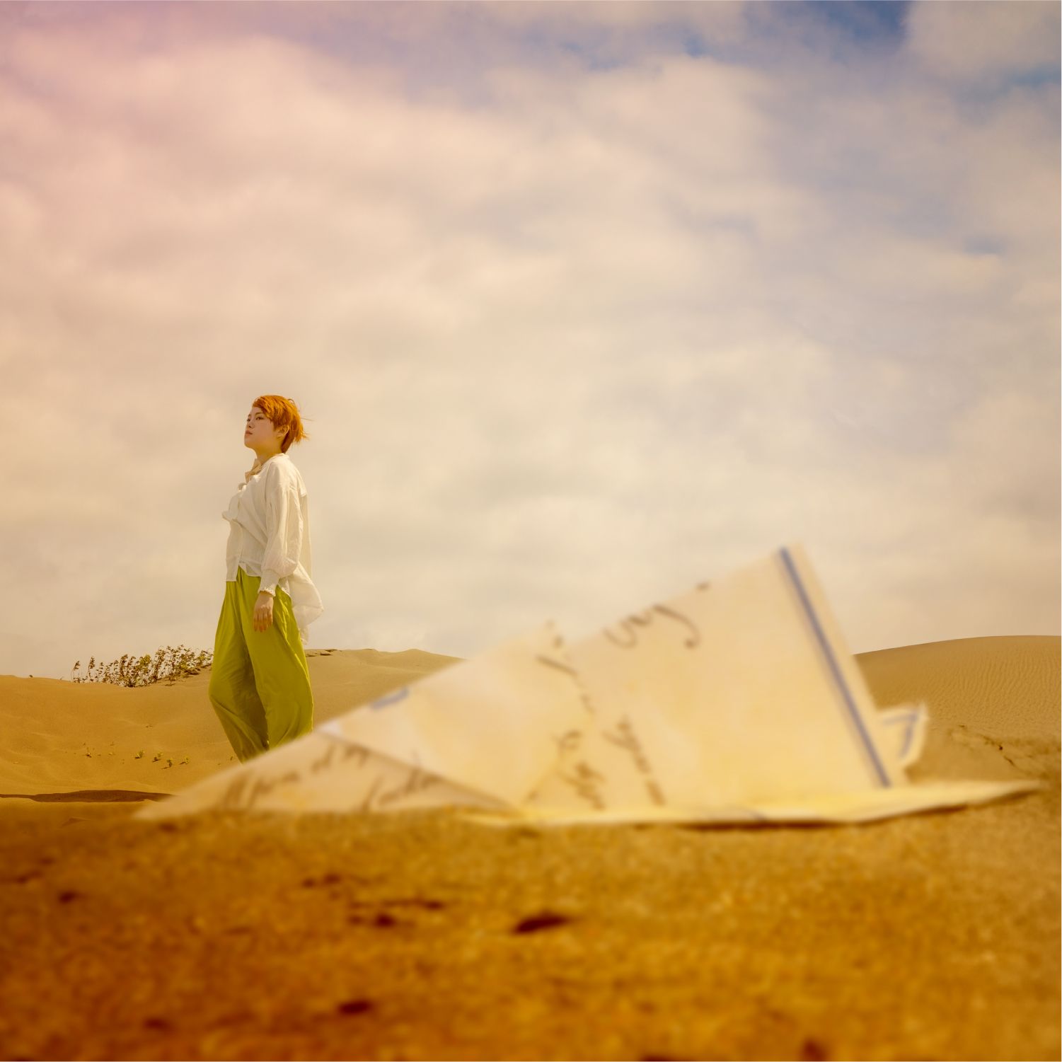飛行員 The Narrator