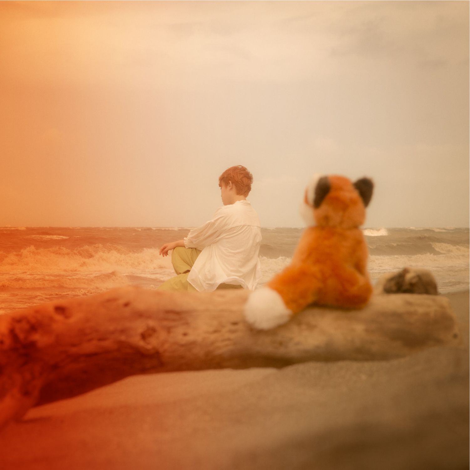 狐狸 The Fox