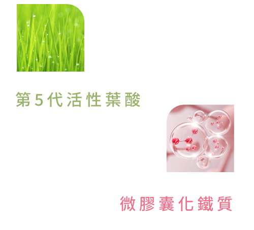 懷孕易累，保健食品師推薦補充葉酸、鐵質